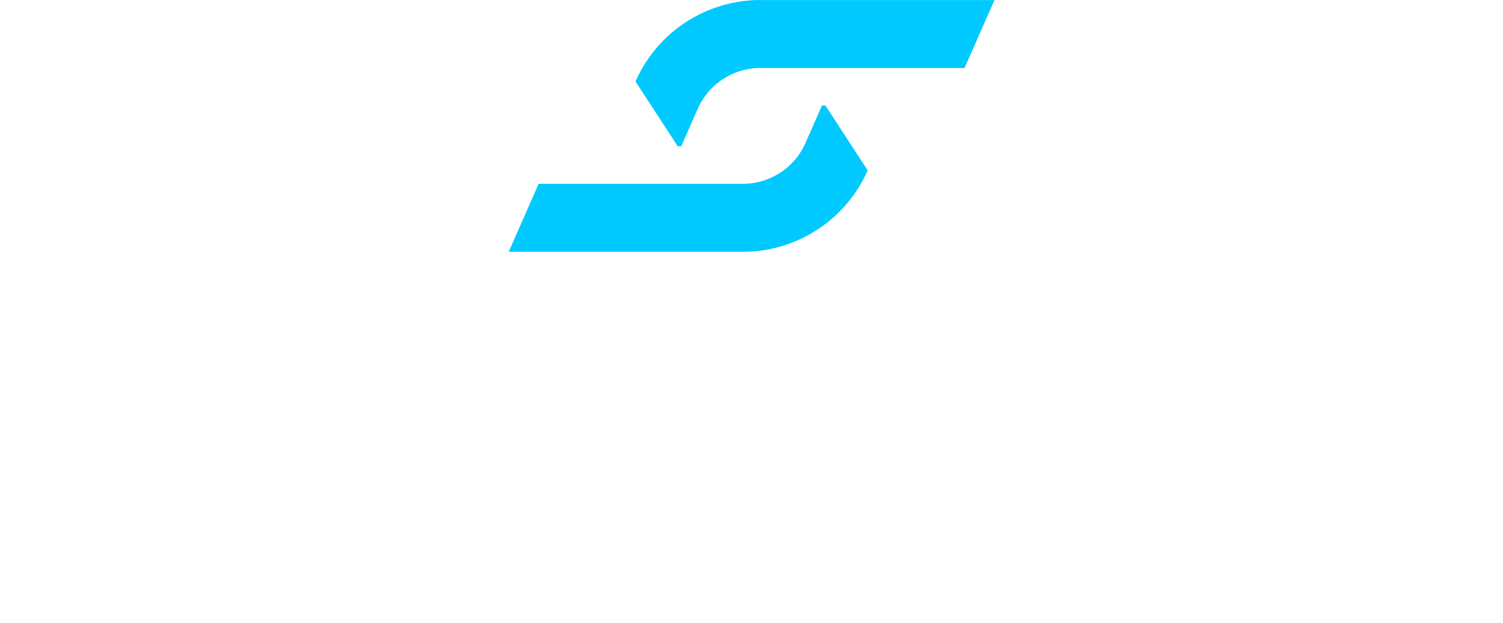 SCARION Detailing